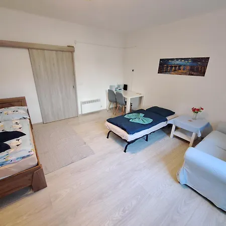 Flat Near The Vysehrad Castle Apartment *