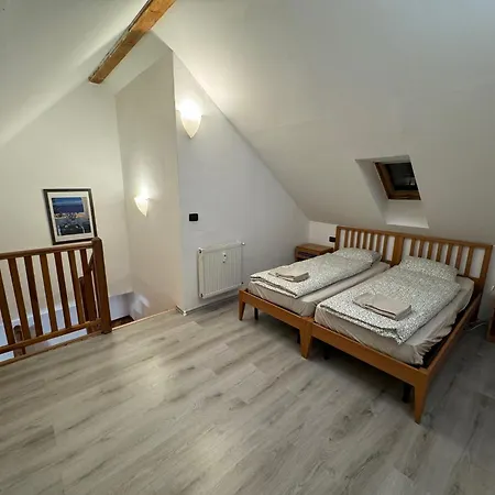 Vitkova Duplex With Terrace Near Florenc * Prague