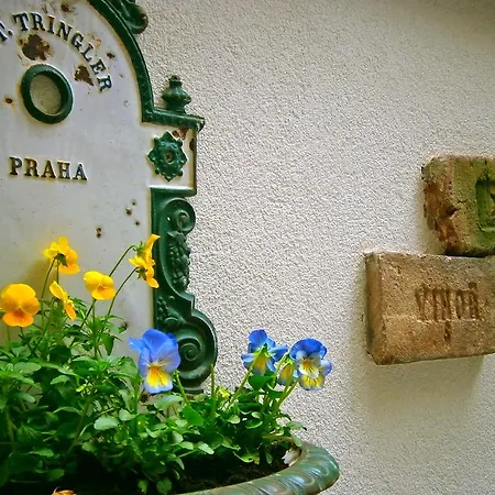 Apartment Teytz Prag