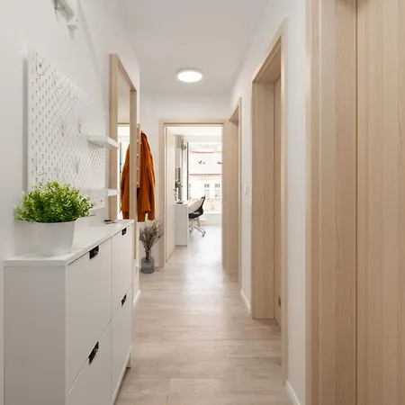 Three Bedroom Aparment With Terrace By Days Prague