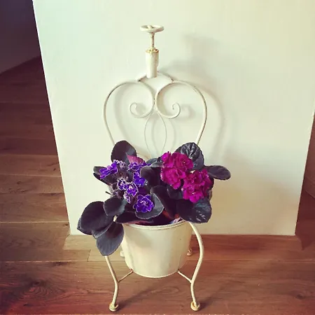 Апартаменты Old Town Boutique *