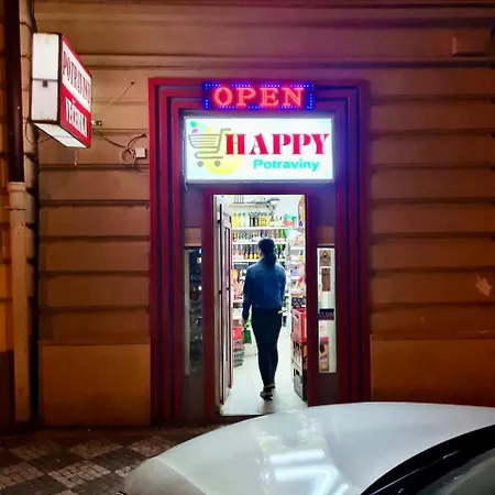Апартаменты Modern Spacious In Center Прага