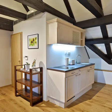 Apartamento Casco Antiguo Boutique