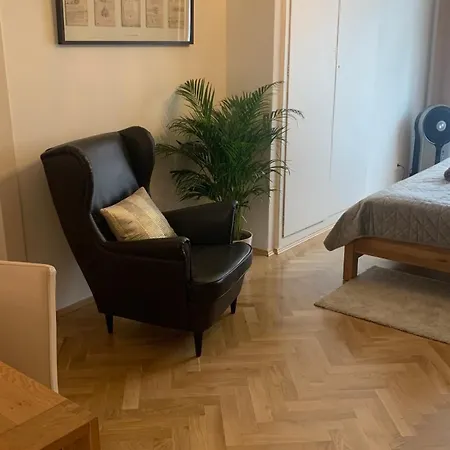 Anenska By Charles Bridge 3 Apartment Prague