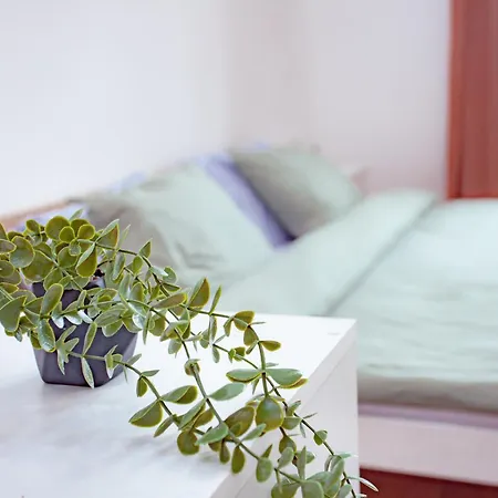 Elegance Apartment *