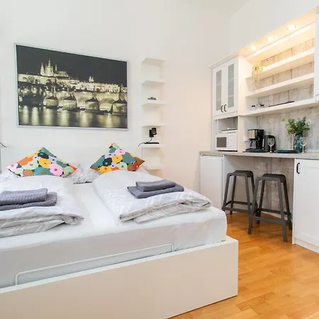 Apartment Stepanska Cr *