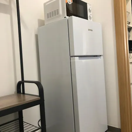 In Viktoria Zizkov Apartamento