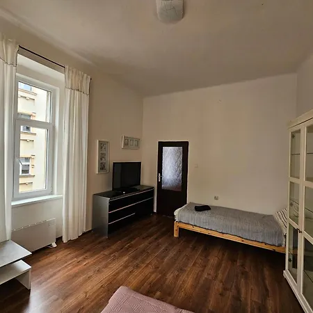 Apartment Zizkov 2c *