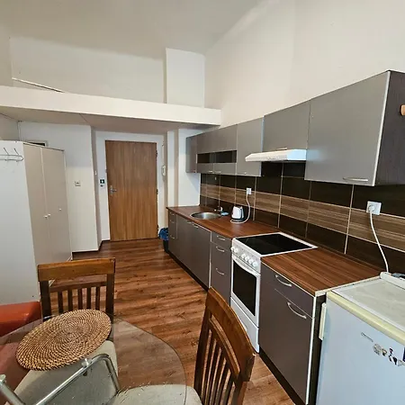 Apartment Zizkov 2c