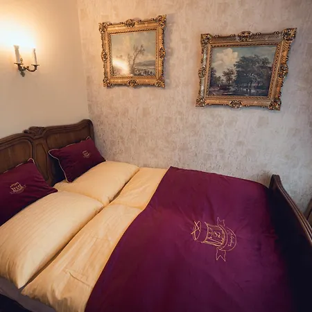 Отель Svatojansky Dvur 4*