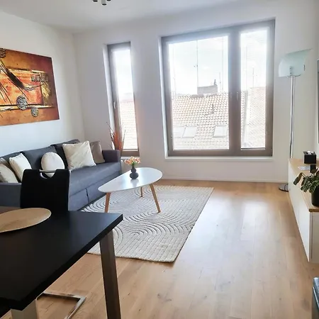 Luxurious Near The Center - Entire Unit