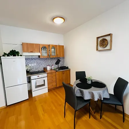 Apartment Nika 10 *