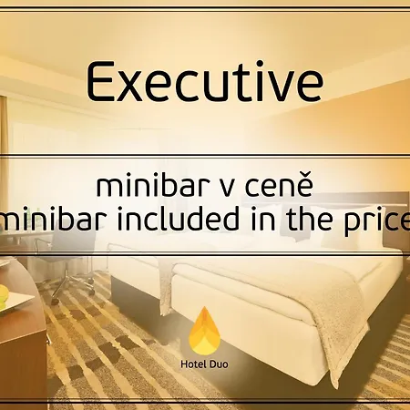 Hotel Duo 4*