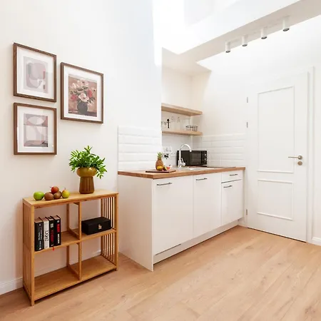 Turnkey I Antonin Dvorak Apartment Prague