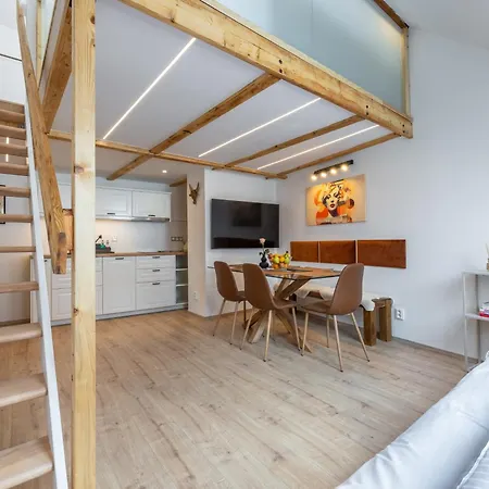Classy Loft In The Center Of Appartement *