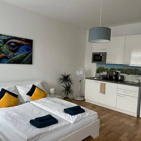 Apartament Nice 1 Studio In The Center Of *