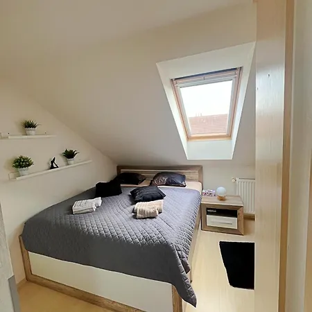Mezonetovy V Centru Apartment *