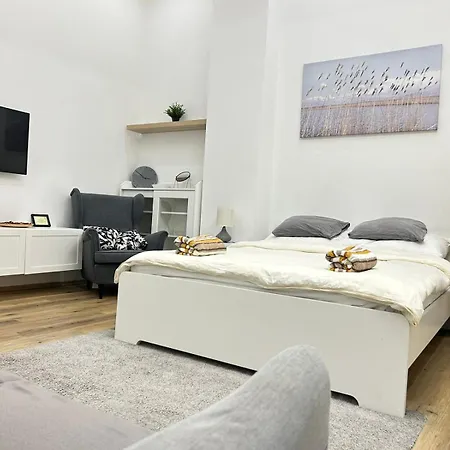 Entire Unit In The Center Of Apartment *