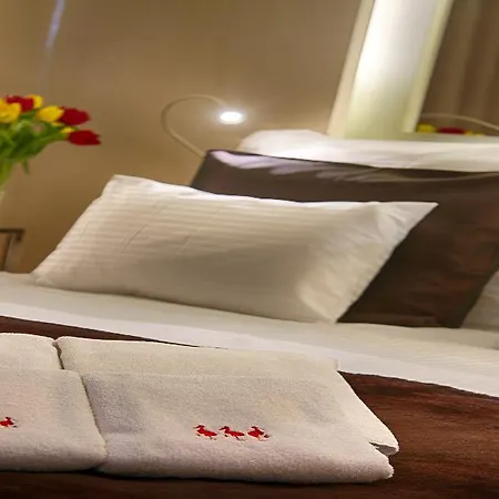 Otel Three Storks 5*