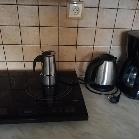 Terrace Studio Prague Center Apartment