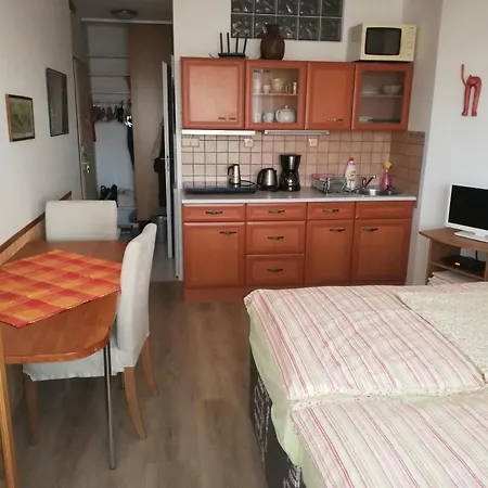 Apartment Terrace Studio Prague Center Prague