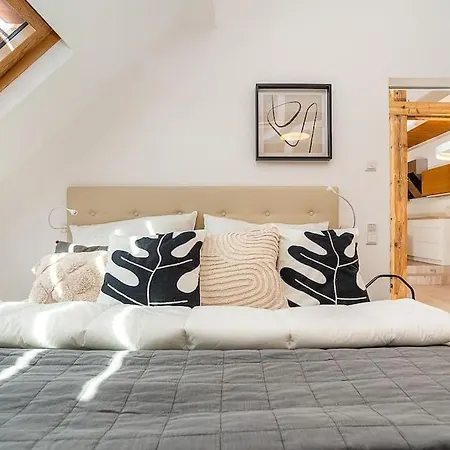 Fantastic Attic With Big Terrace Apartment