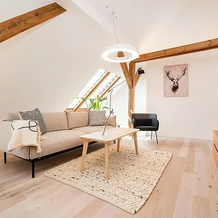 Apartment Fantastic Attic With Big Terrace *
