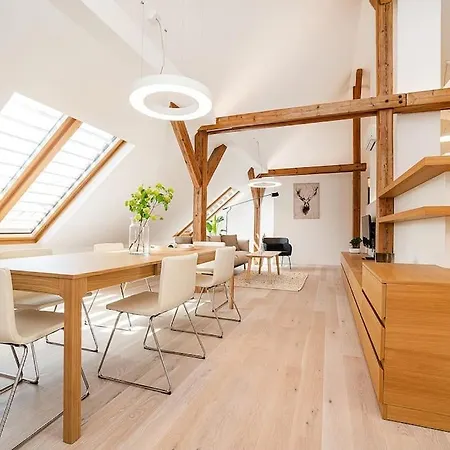 Fantastic Attic With Big Terrace *