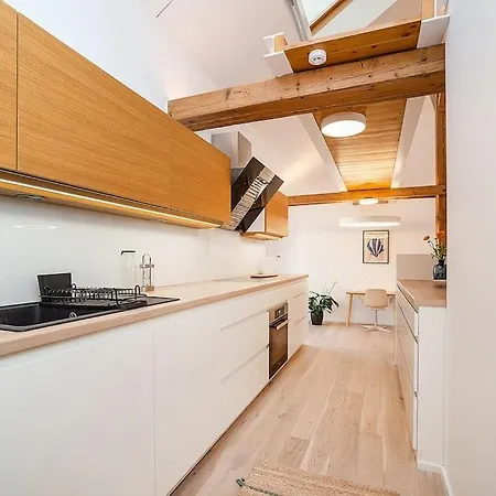Apartment Fantastic Attic With Big Terrace *