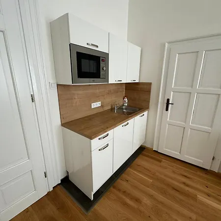 Palackeho Apartment *