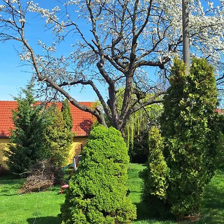Zbraslav Old Garden