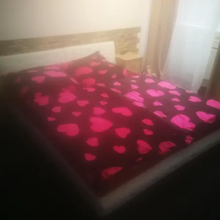 Guest house Rena