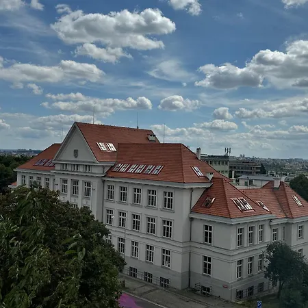 Birdsong Prague