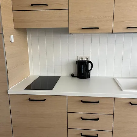 Brand New Studio In The Center Apartment *