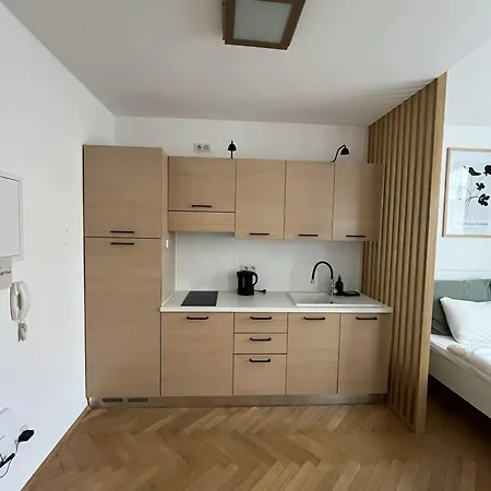 Brand New Studio In The Center Apartment *
