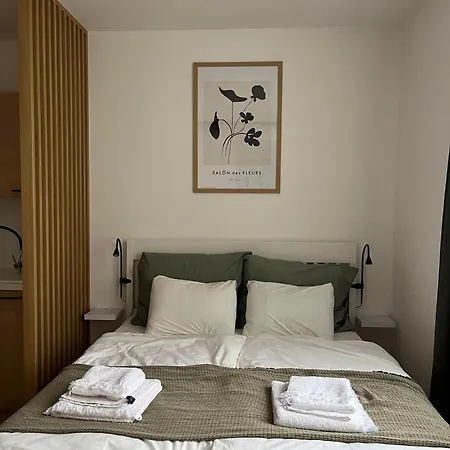 Brand New Studio In The Center Apartment