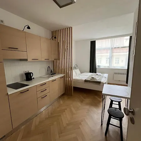 Brand New Studio In The Center Apartment