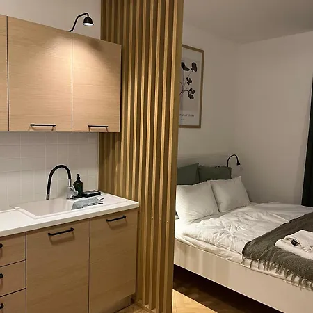 Brand New Studio In The Center Apartment *