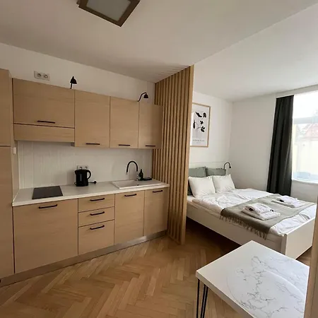 Apartment Brand New Studio In The Center *