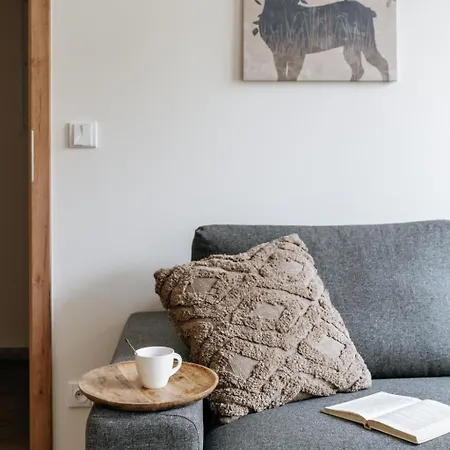 Three Bedroom Aparment With Terrace By Days *
