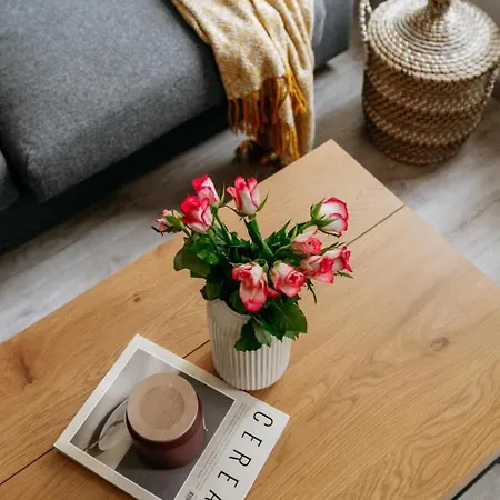 Apartment Three Bedroom Aparment With Terrace By Days *