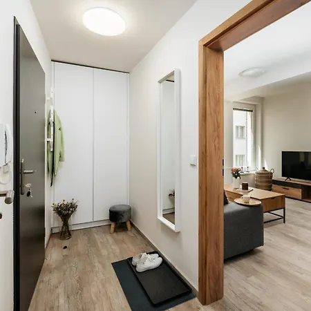 Three Bedroom Aparment With Terrace By Days * Prague