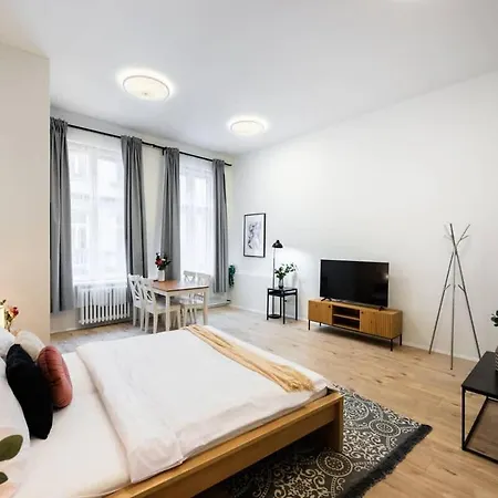 Elegant Spacious Old Town Prague