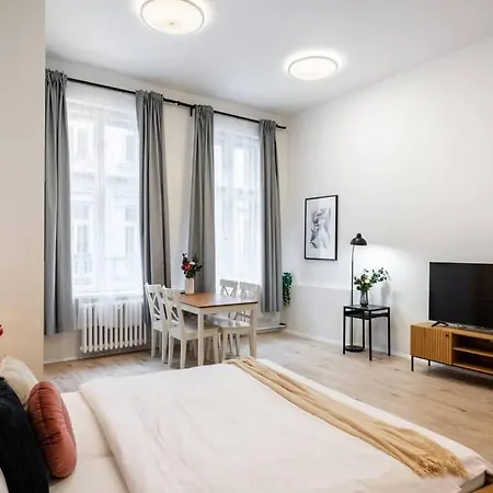 Apartment Elegant Spacious Old Town *