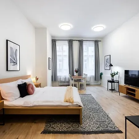 Elegant Spacious Old Town * Prague