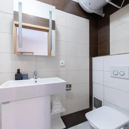 Charming Spacious In Apartment Prague