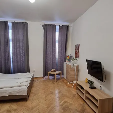 Krakovska 20 Apartment