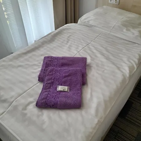 伏尔加酒店 旅馆
