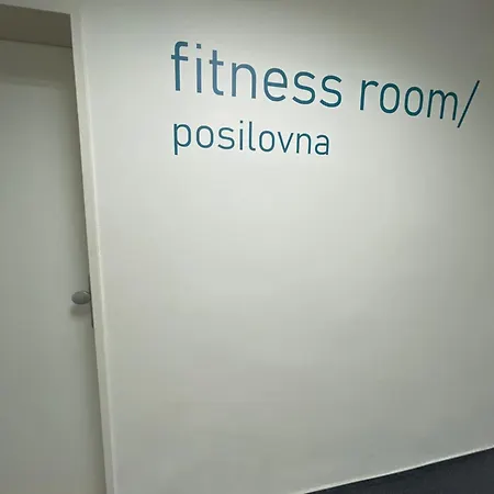 Friendly Small Flat For Nomads Apartment