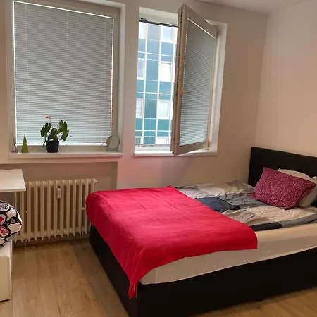 Friendly Small Flat For Nomads